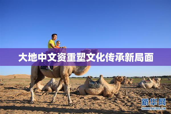 大地中文资重塑文化传承新局面