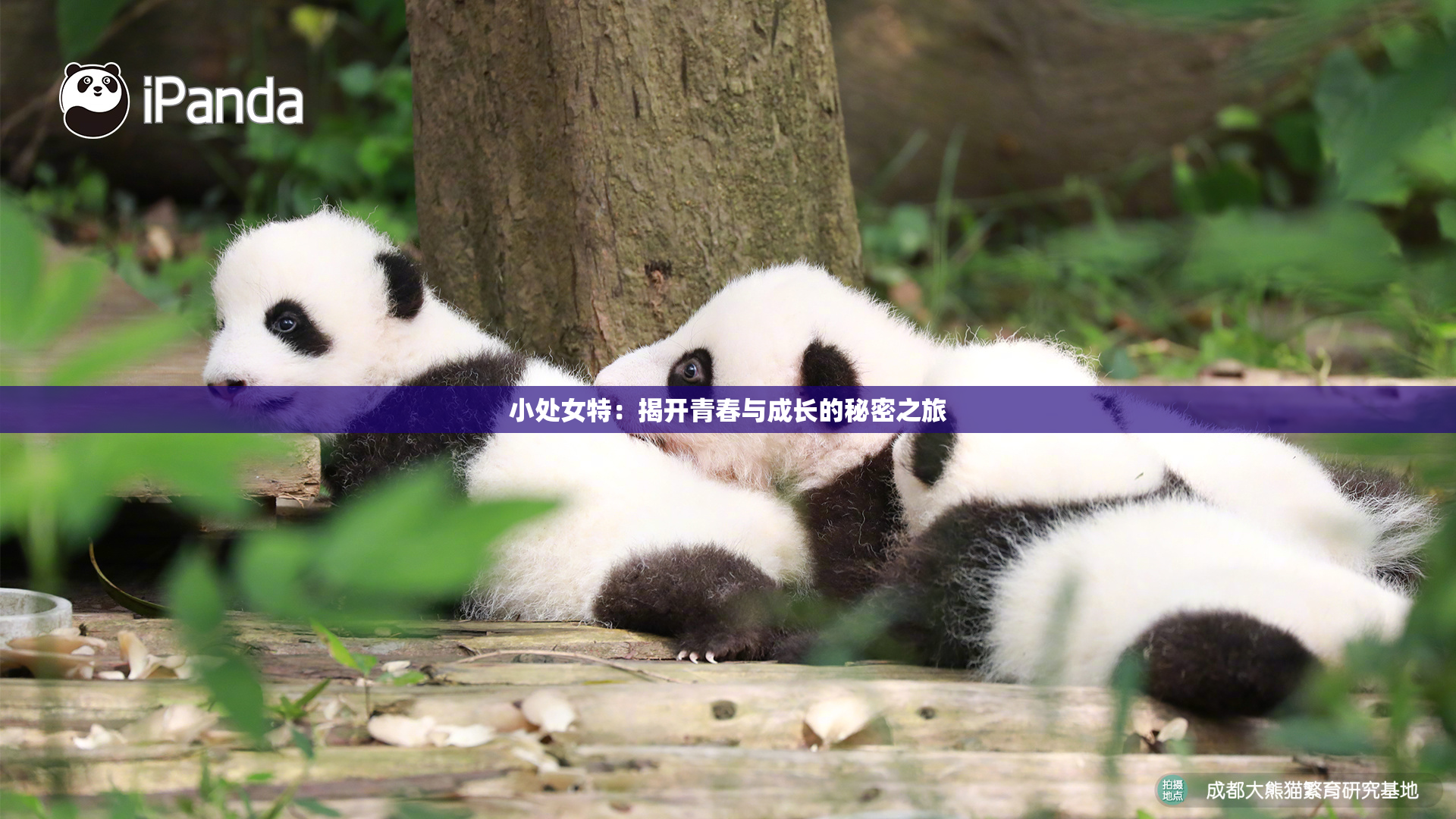 小处女特：揭开青春与成长的秘密之旅