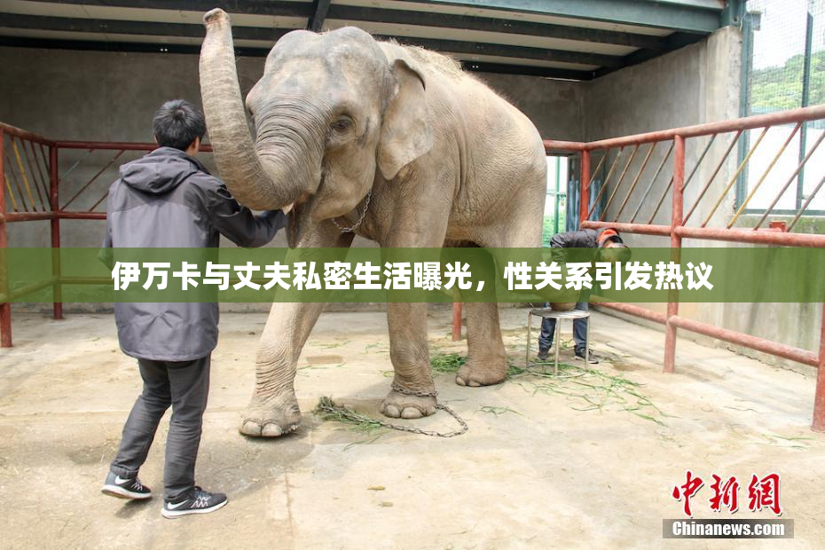 伊万卡与丈夫私密生活曝光，性关系引发热议