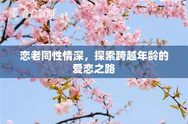 恋老同性情深，探索跨越年龄的爱恋之路