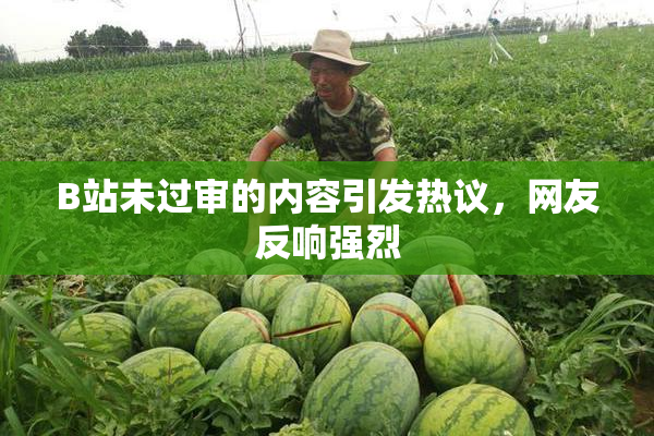 B站未过审的内容引发热议，网友反响强烈