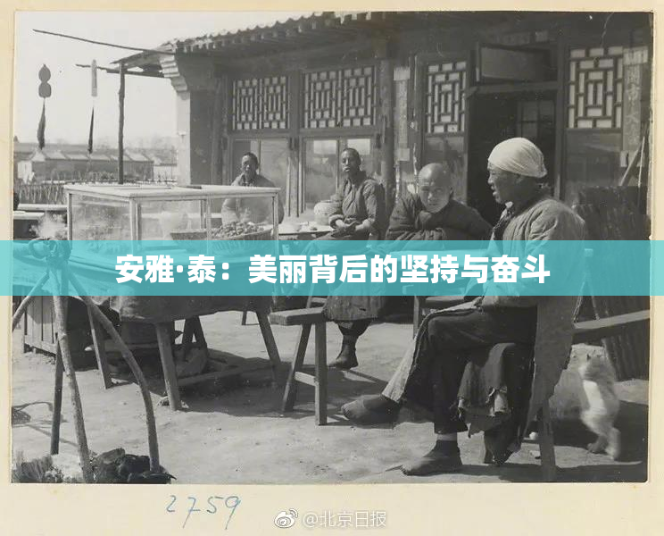 安雅·泰：美丽背后的坚持与奋斗