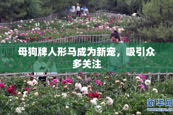 母狗牌人形马成为新宠，吸引众多关注