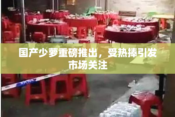 国产少萝重磅推出，受热捧引发市场关注