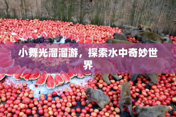 小舞光溜溜游，探索水中奇妙世界
