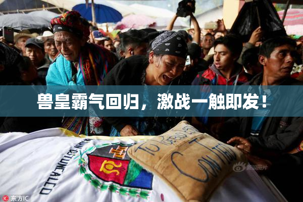 兽皇霸气回归，激战一触即发！