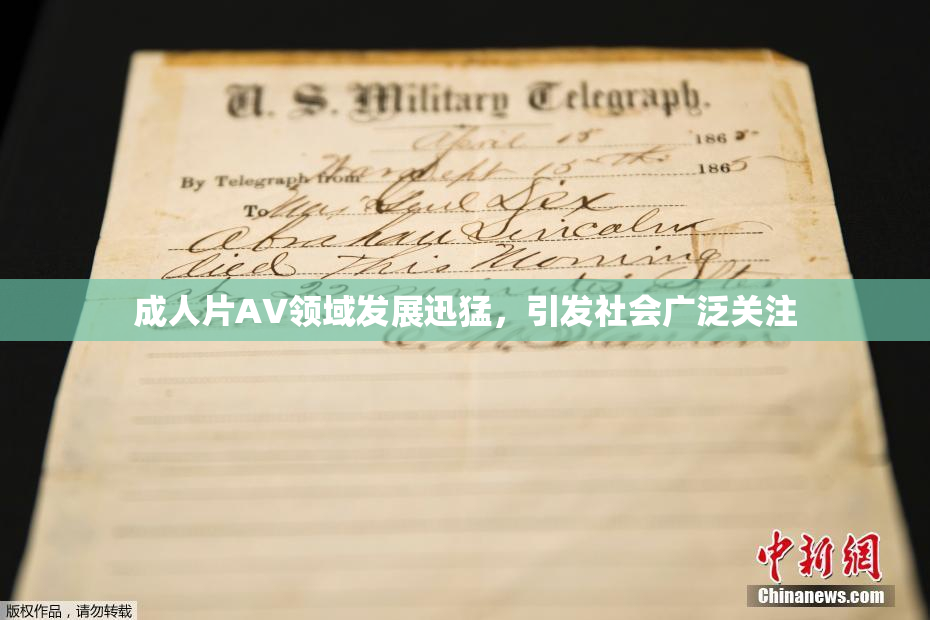 成人片AV领域发展迅猛，引发社会广泛关注