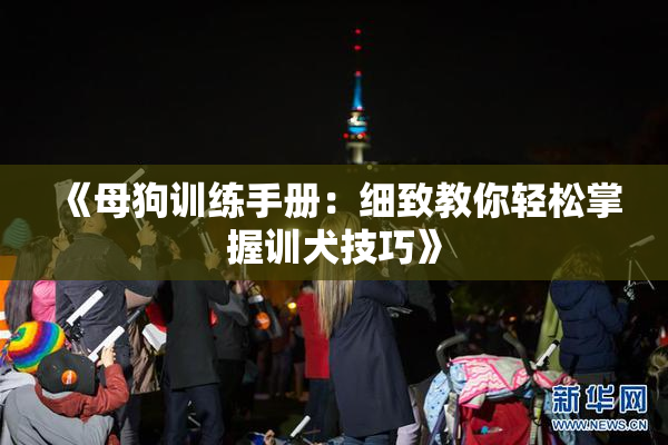 《母狗训练手册：细致教你轻松掌握训犬技巧》