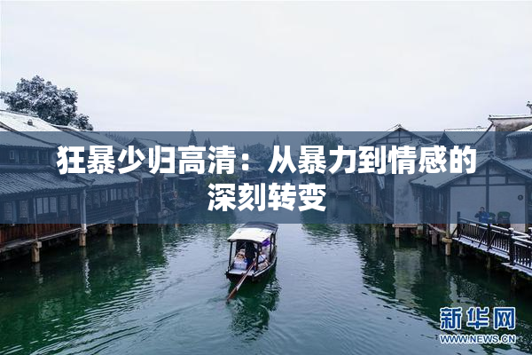 狂暴少归高清：从暴力到情感的深刻转变