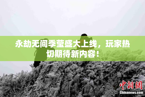 永劫无间季莹盛大上线，玩家热切期待新内容！