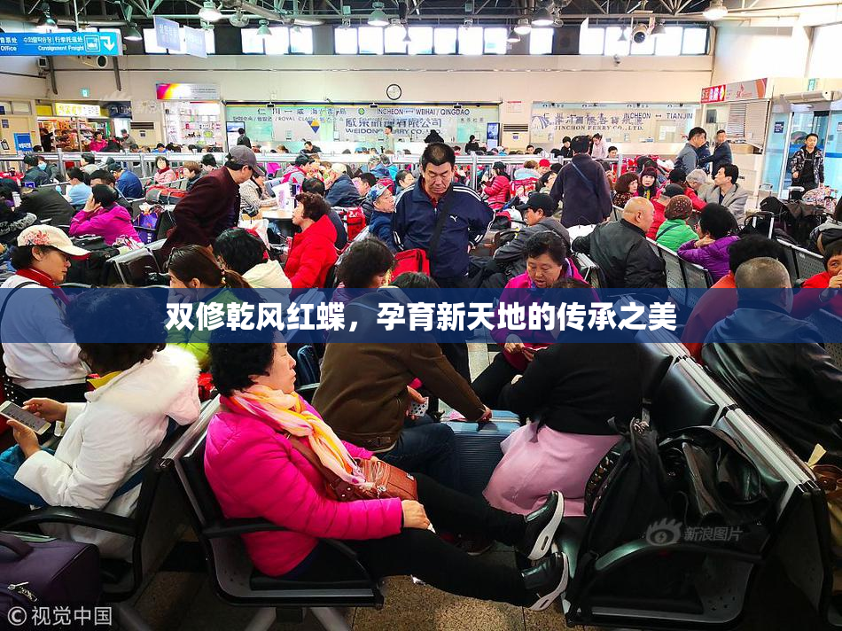 双修乾风红蝶，孕育新天地的传承之美