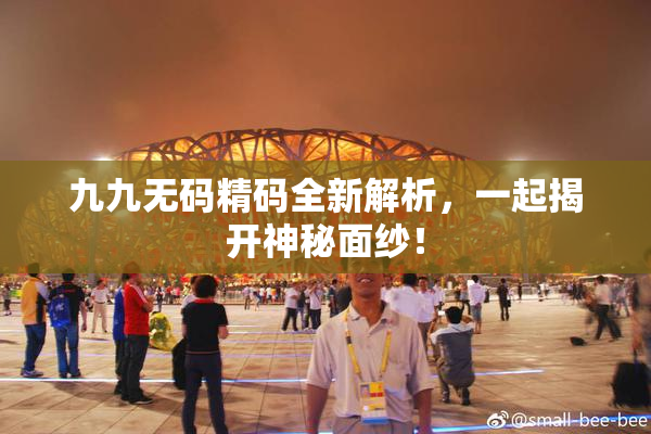 九九无码精码全新解析，一起揭开神秘面纱！