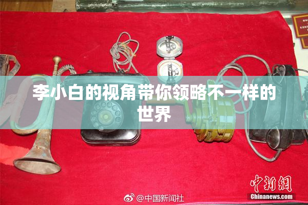 李小白的视角带你领略不一样的世界