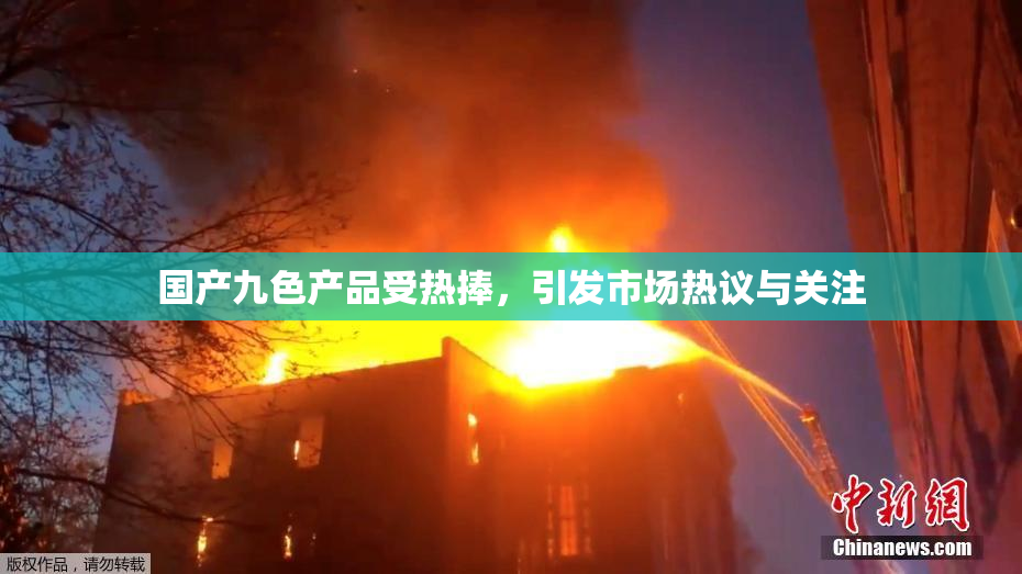国产九色产品受热捧，引发市场热议与关注