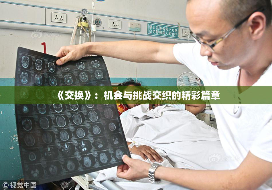 《交换》：机会与挑战交织的精彩篇章