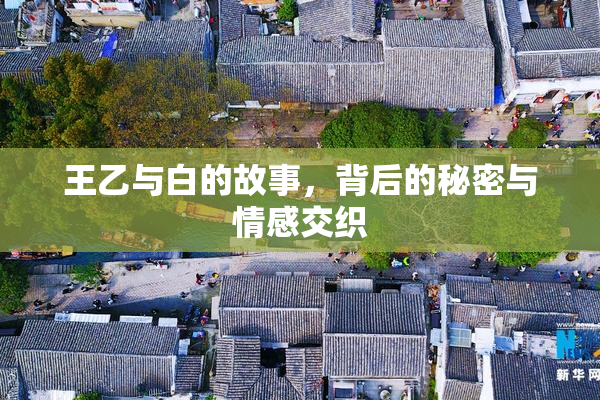 王乙与白的故事，背后的秘密与情感交织