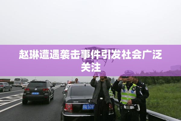 赵琳遭遇袭击事件引发社会广泛关注