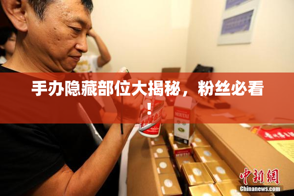 手办隐藏部位大揭秘，粉丝必看！