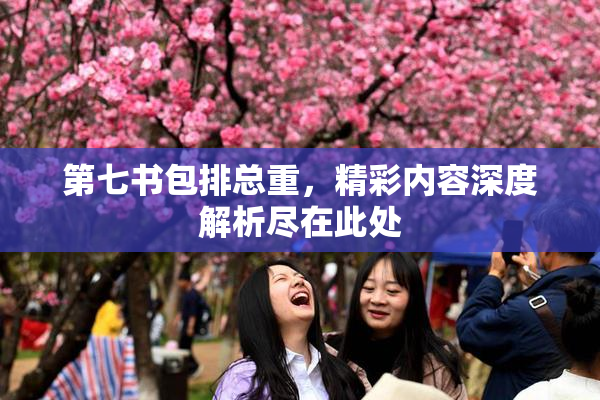 第七书包排总重，精彩内容深度解析尽在此处