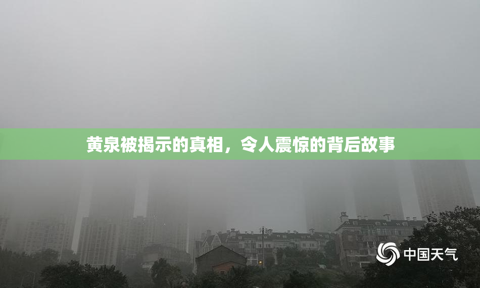 黄泉被揭示的真相，令人震惊的背后故事