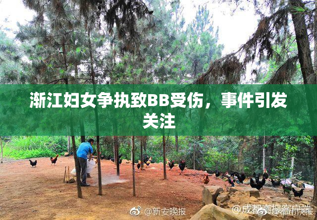 渐江妇女争执致BB受伤，事件引发关注