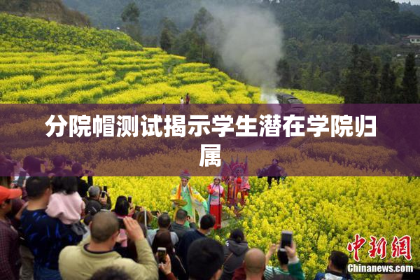 分院帽测试揭示学生潜在学院归属