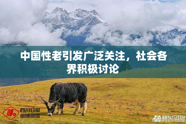 中国性老引发广泛关注，社会各界积极讨论