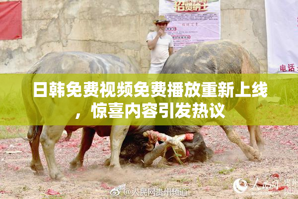 日韩免费视频免费播放重新上线，惊喜内容引发热议