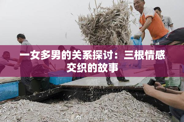 一女多男的关系探讨：三根情感交织的故事