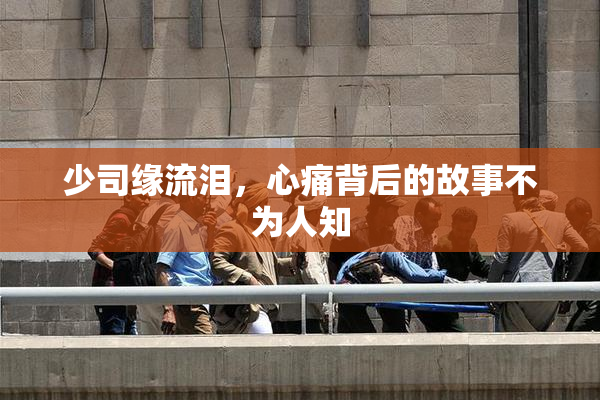 少司缘流泪，心痛背后的故事不为人知
