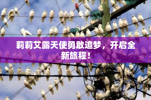 莉莉艾露天使勇敢追梦，开启全新旅程！