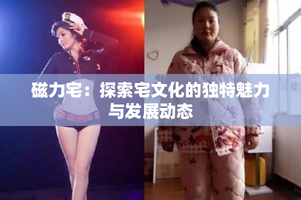 磁力宅：探索宅文化的独特魅力与发展动态