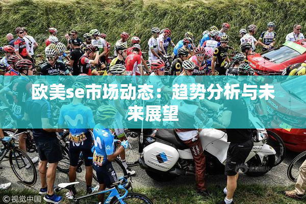 欧美se市场动态：趋势分析与未来展望