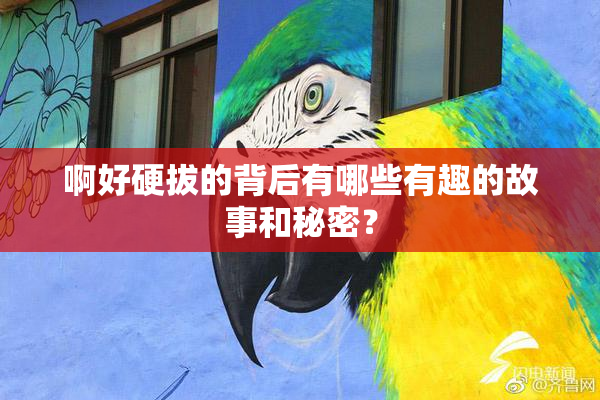 啊好硬拔的背后有哪些有趣的故事和秘密？