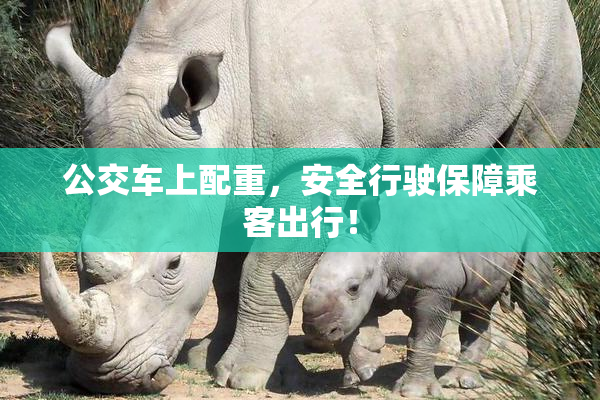 公交车上配重，安全行驶保障乘客出行！