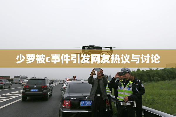 少萝被c事件引发网友热议与讨论