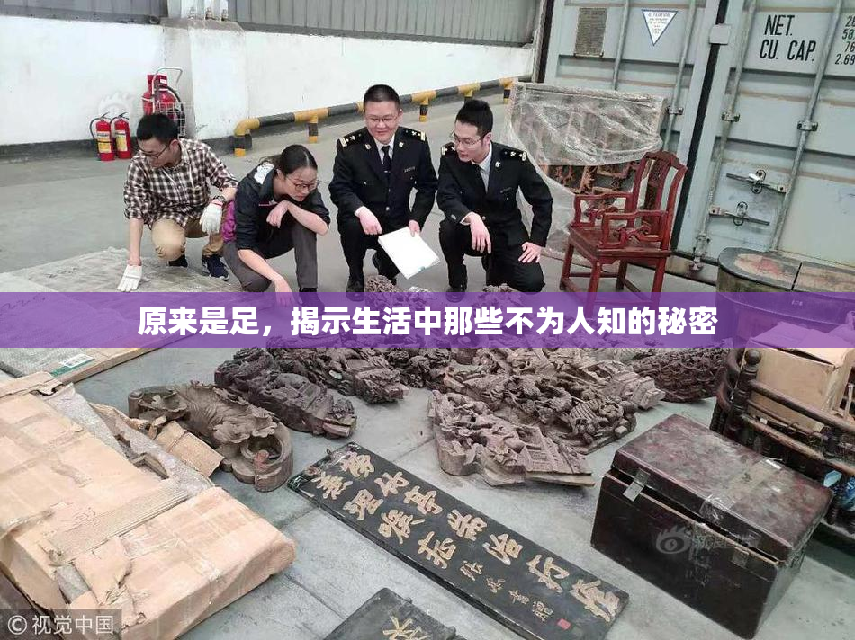 原来是足，揭示生活中那些不为人知的秘密
