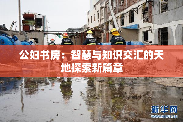 公妇书房：智慧与知识交汇的天地探索新篇章