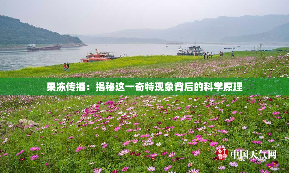 果冻传播：揭秘这一奇特现象背后的科学原理