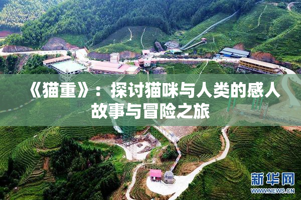 《猫重》：探讨猫咪与人类的感人故事与冒险之旅