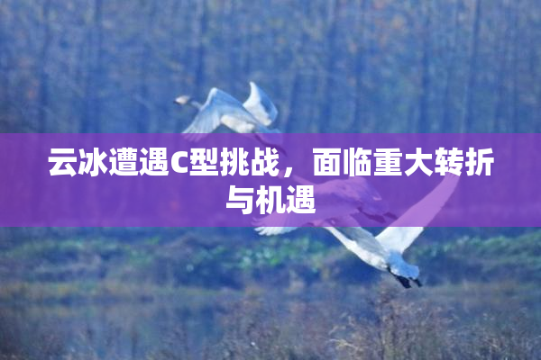 云冰遭遇C型挑战，面临重大转折与机遇