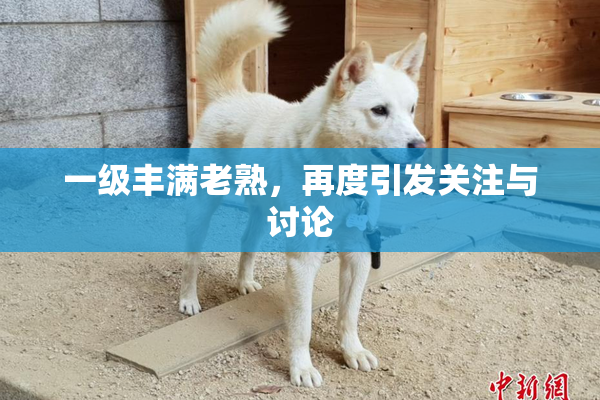 一级丰满老熟，再度引发关注与讨论