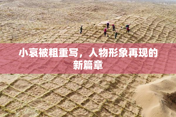 小哀被粗重写，人物形象再现的新篇章