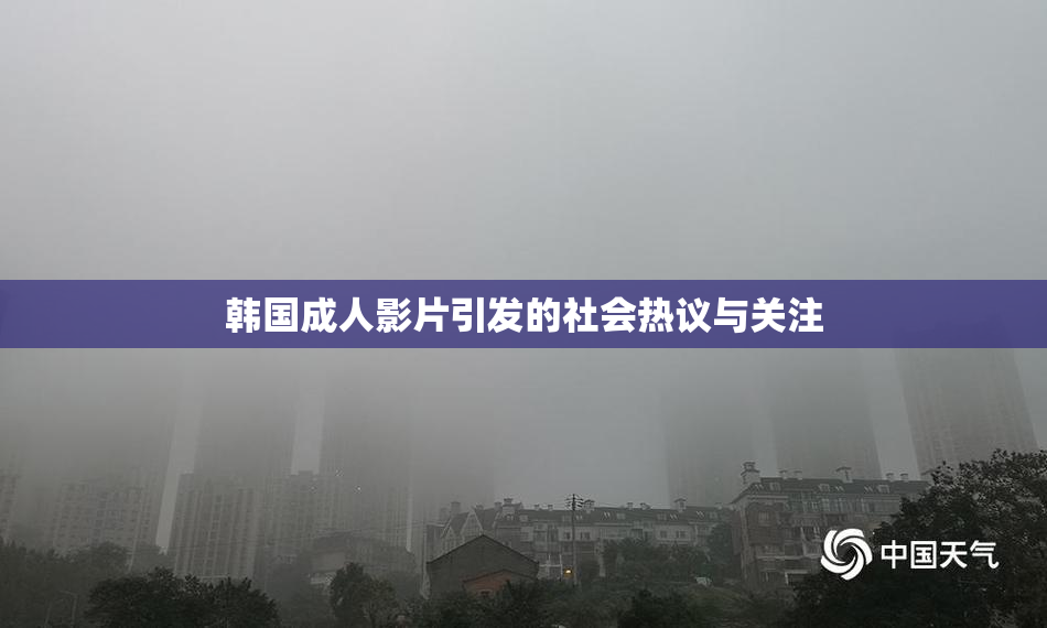 韩国成人影片引发的社会热议与关注