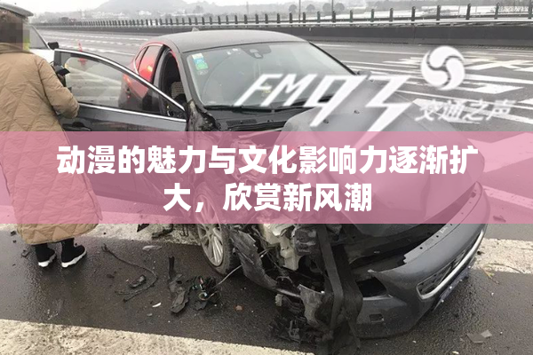 动漫的魅力与文化影响力逐渐扩大，欣赏新风潮