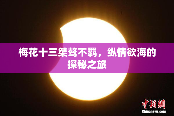 梅花十三桀骜不羁，纵情欲海的探秘之旅