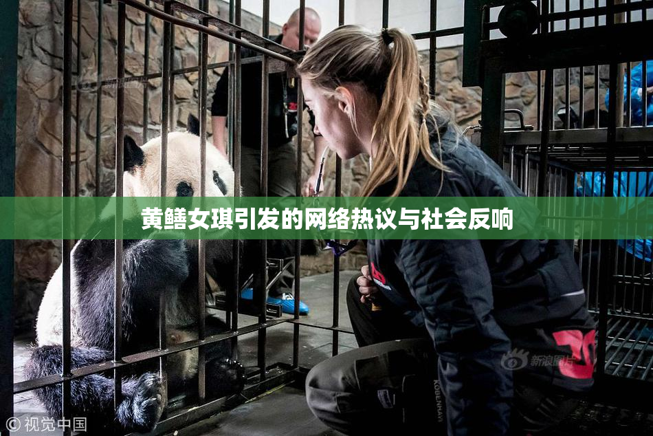 黄鳝女琪引发的网络热议与社会反响