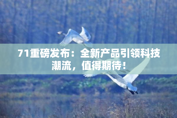 71重磅发布：全新产品引领科技潮流，值得期待！