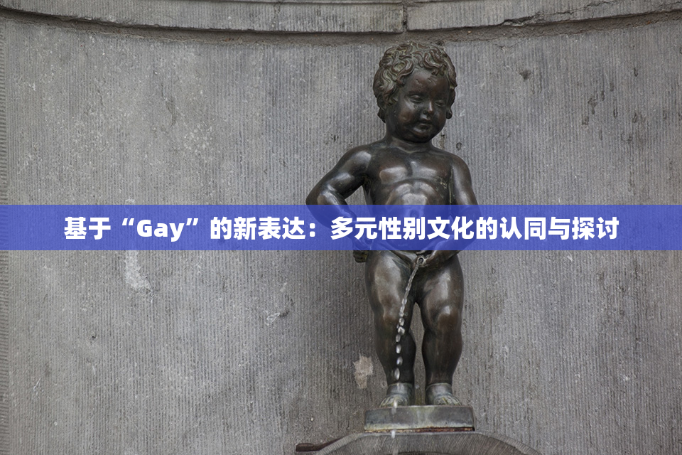 基于“Gay”的新表达：多元性别文化的认同与探讨