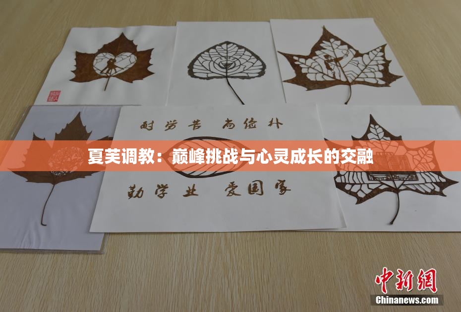 夏芙调教：巅峰挑战与心灵成长的交融
